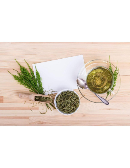 Té Herbal Cola de Caballo Health Embassy 100g - Natural y Libre de OGM