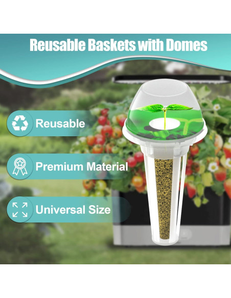 Kit de 64 Piezas Haligo para Cultivo Hidropónico - Semillas