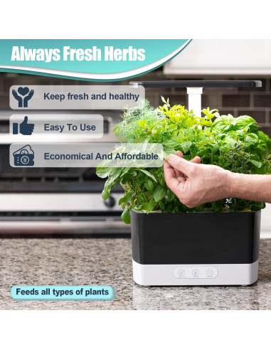 Kit de 64 Piezas Haligo para Cultivo Hidropónico - Semillas