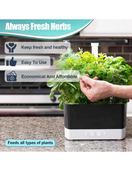 Kit de 64 Piezas Haligo para Cultivo Hidropónico - Semillas