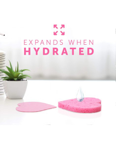 Esponjas Faciales Comprimidas Rejuvv Fushay - 25 Unidades 2