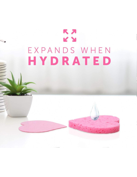 Esponjas Faciales Comprimidas Rejuvv Fushay - 25 Unidades