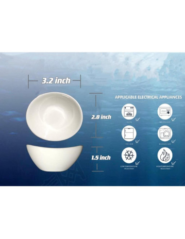 Juego de 6 Cuencos de Porcelana Holitika para Salsa 28.35 ml