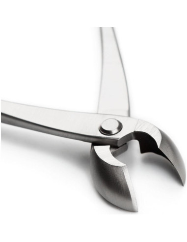 Cortador de Borde Redondo TianBonsai 205 mm Acero Aleado