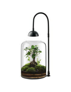 Terrario de Vidrio Xyingshine 20.8 cm con Luz LED y Ventilación