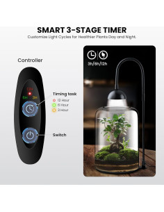 Terrario de Vidrio Xyingshine 20.8 cm con Luz LED y Ventilación 2