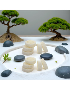 10 Rodajas de Lufa Blanca Natural para Jabón y Cuidado de Piel 2