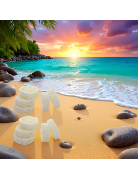 10 Rodajas de Lufa Blanca Natural para Jabón y Cuidado de Piel