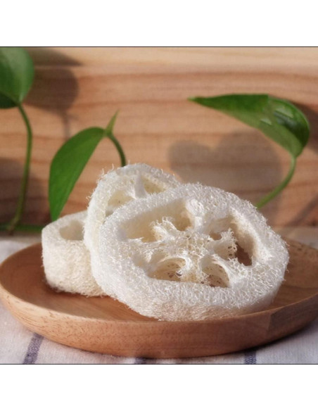 10 Rodajas de Lufa Blanca Natural para Jabón y Cuidado de Piel