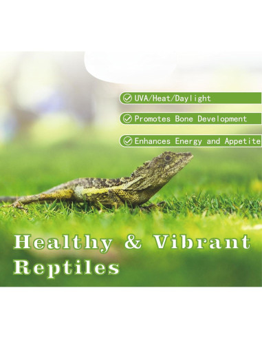 Bombillas de Calor para Reptiles Repticircle 100W - Paquete de 2