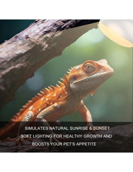 Bombillas de Calor para Reptiles Repticircle 100W - Paquete de 2