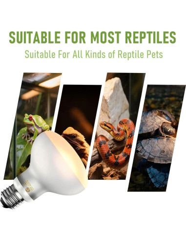Bombillas de Calor para Reptiles Repticircle 100W - Paquete de 2