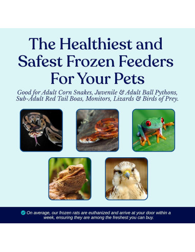 Alimento Congelado para Serpientes MiceDirect - Ratas 5 Piezas 6.35-8.89 cm