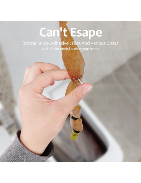 Trampas Adhesivas para Moscas USKICH - 35 Unidades Efectivas