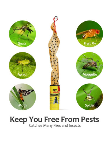 Trampas Adhesivas para Moscas USKICH - 35 Unidades Efectivas