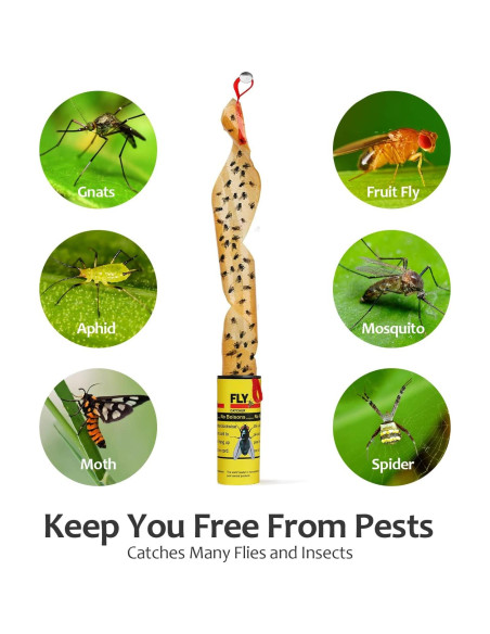 Trampas Adhesivas para Moscas USKICH - 35 Unidades Efectivas