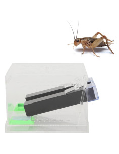 Caja de Alimentación para Grilllos Bizofft con Tubos Seguros