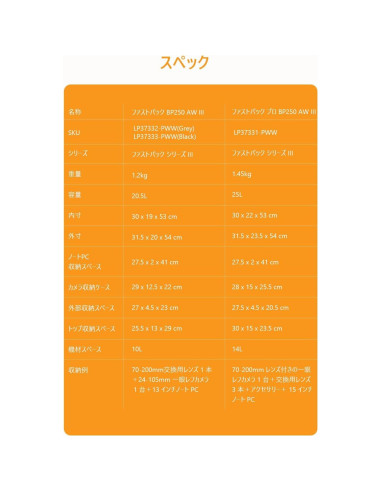 Mochila Lowepro Fastpack BP250AW III 25L Gris para Cámara