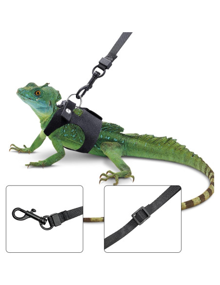 Conjunto Arnés y Correa Ajustable para Dragón Barbudo - Negro