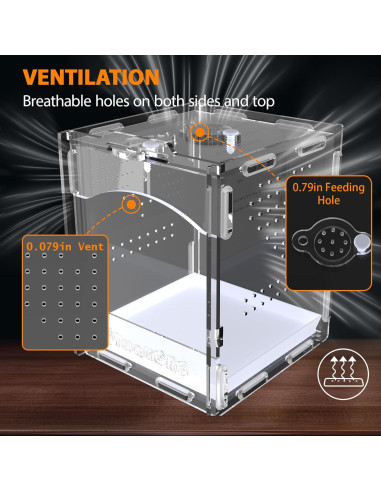 Terrario Acrílico TwwTCRO para Arañas y Reptiles 11.3x12.4x14.5cm