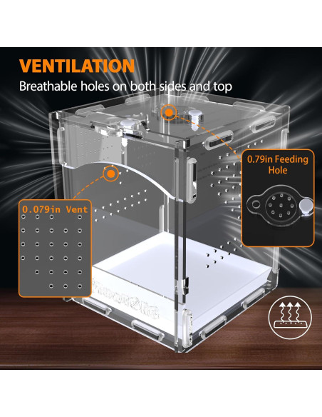 Terrario Acrílico TwwTCRO para Arañas y Reptiles 11.3x12.4x14.5cm