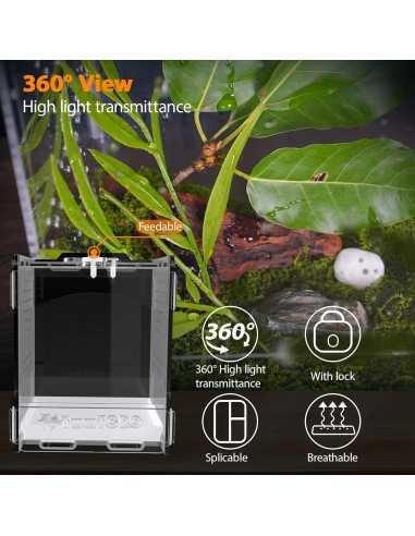 Terrario Acrílico TwwTCRO para Arañas y Reptiles 11.3x12.4x14.5cm