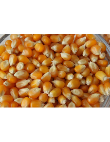 Granos de Palomitas de Maíz Champiñón Tío Myron 0.57 kg - Sin OGM, Sin Gluten