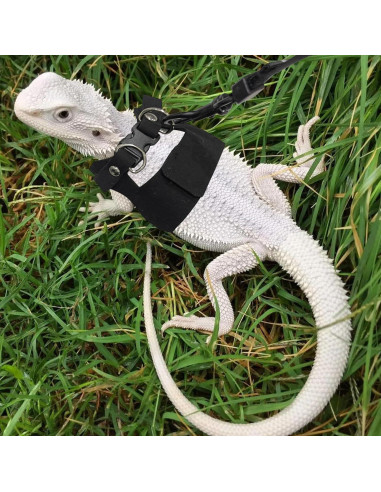 Conjunto Arnés y Correa Ajustable para Dragón Barbudo - Negro