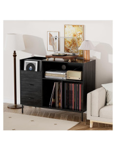 Soporte para Discos WDYLWFHW con Estantes Ajustables Negro