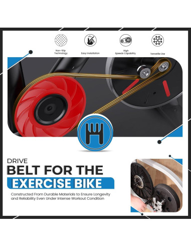 Correa de Polea Flexonic Hydra Fitness 154.94 cm 8 Costillas