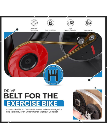 Correa de Polea Flexonic Hydra Fitness 154.94 cm 8 Costillas