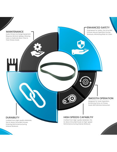 Correa de Polea Flexonic Hydra Fitness 154.94 cm 8 Costillas