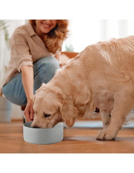 Tazón de Perro Cerámica 20 cm Welloyed Antideslizante Gris