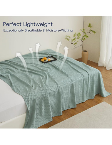 Manta Ligera Waffle PHF Individual 167x229cm Aqua Gris