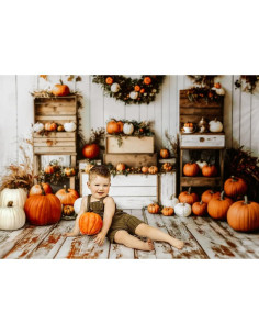 Fondo de Microfibra 2.2x1.5m Kate Otoño Calabazas 2