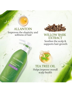 Champú Controlador de Aceite Aloderma 473ml - Aloe Vera Orgánico 2