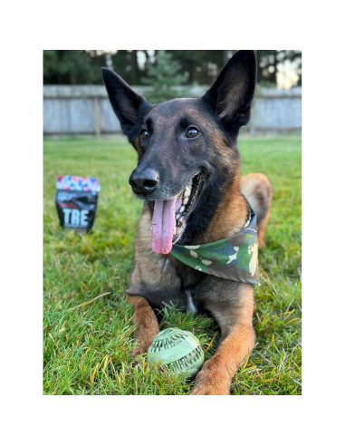 Bola Bazooka de Camuflaje Militar O.G.B. - Juguete para Perros