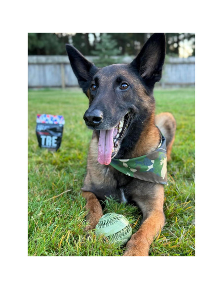 Bola Bazooka de Camuflaje Militar O.G.B. - Juguete para Perros