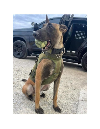 Bola Bazooka de Camuflaje Militar O.G.B. - Juguete para Perros