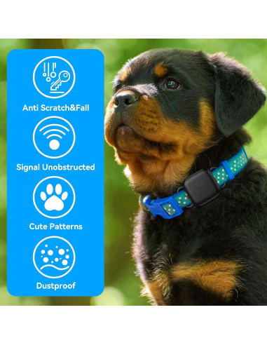 Soporte para Collar de Perro Life360 Tile Mate 2024 - 2 Unidades
