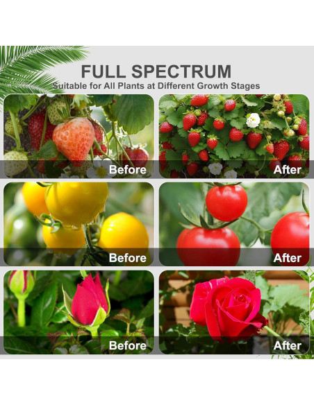 Luz de Crecimiento para Plantas ORALUCE 80 LEDs 4 Cabezas