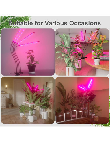 Luz de Crecimiento para Plantas ORALUCE 80 LEDs 4 Cabezas