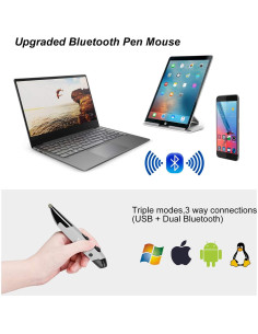 Ratón óptico ergonómico recargable Lychee gris con stylus 2