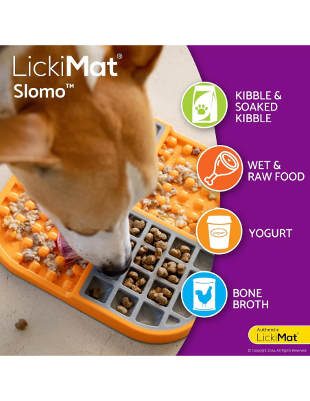 LickiMat Slomo Alfombrilla de Lamer Verde 20x20cm para Perros