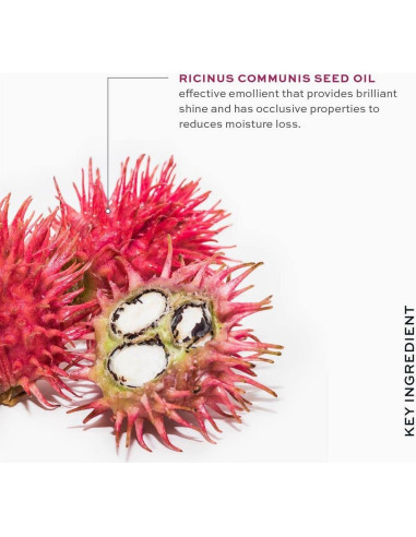 Rubor en Barra MAKE Beauty Horneado 5 ml - Hidratante Brillante