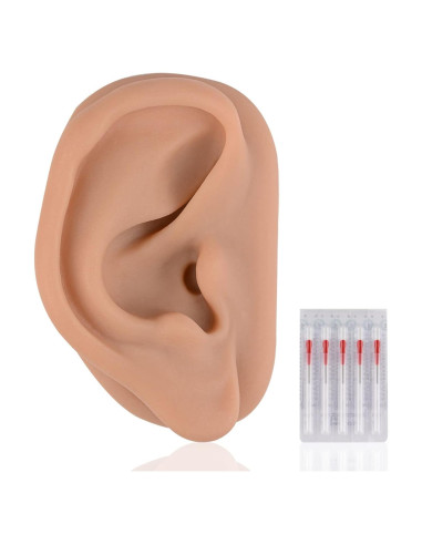 Simulador de Oído de Silicona SimCoach 17.1x11.3cm Acupuntura