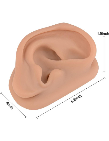 Simulador de Oído de Silicona SimCoach 17.1x11.3cm Acupuntura