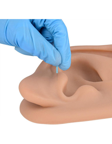 Simulador de Oído de Silicona SimCoach 17.1x11.3cm Acupuntura