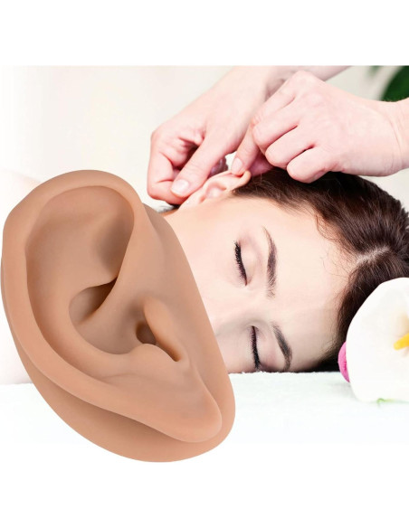 Simulador de Oído de Silicona SimCoach 17.1x11.3cm Acupuntura