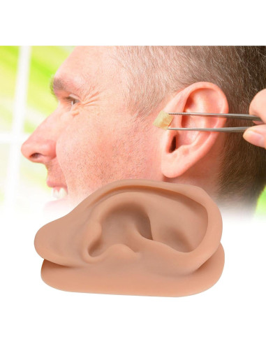 Simulador de Oído de Silicona SimCoach 17.1x11.3cm Acupuntura